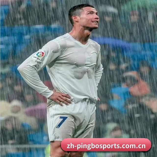 关于我们 - 体育资讯内容服务